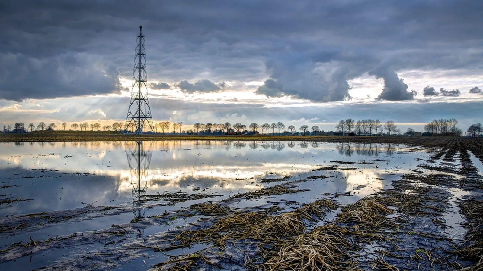 Asian Refiners Set to Nearly Double September US Crude Buys