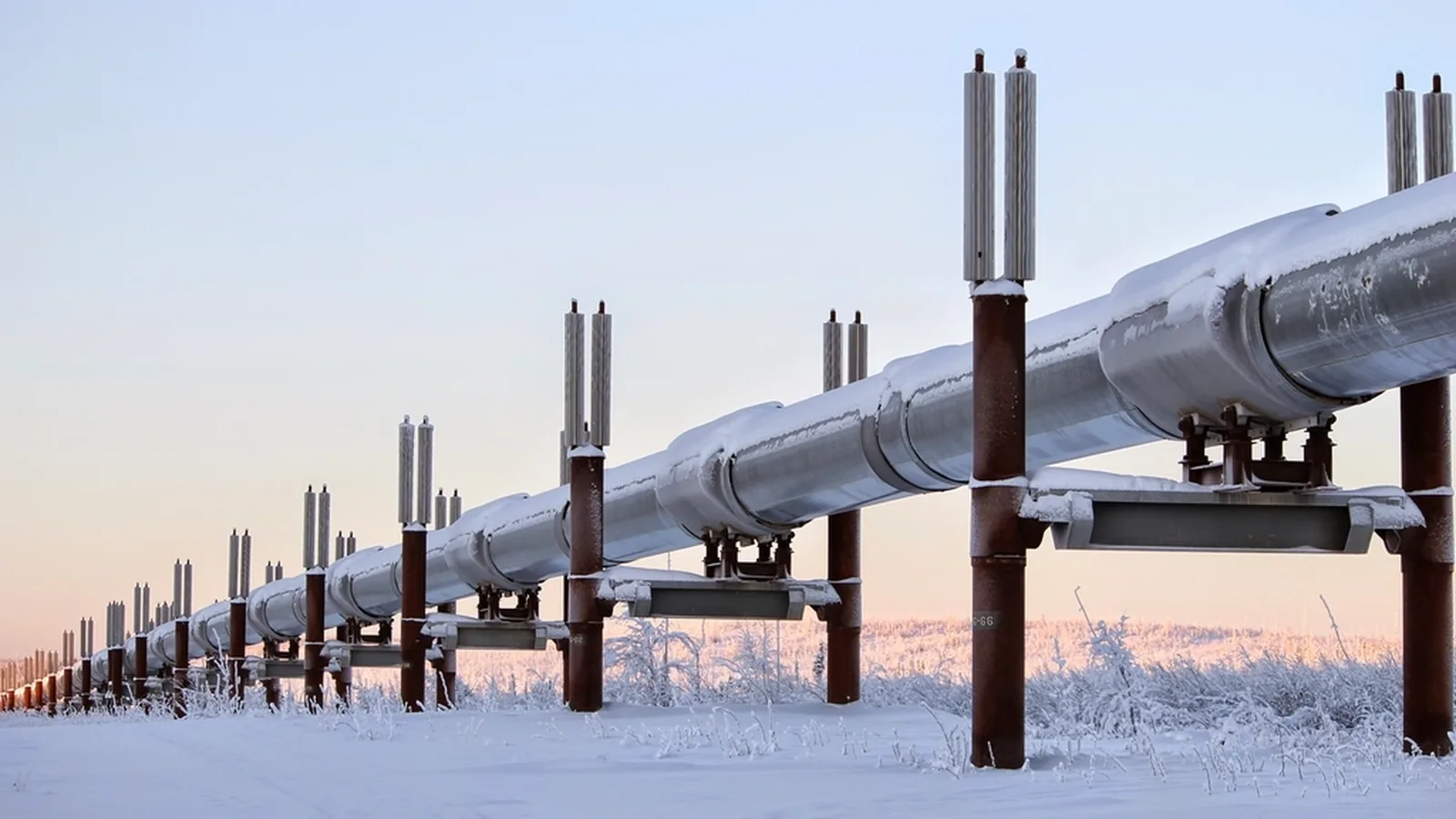 AI's Power Bill Is Now an OPEC+ Problem, Not a Labor One